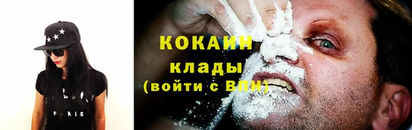 ПСИЛОЦИБИНОВЫЕ ГРИБЫ Аркадак