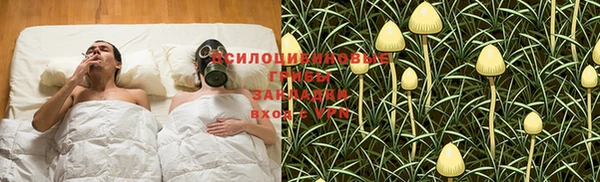 каннабис Арсеньев
